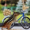 Chippy's peanut delivery service