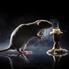 Rat and candle Puzzle
