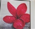 red flower Puzzle