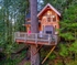 They Live In This Tree House Puzzle
