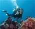 scuba diving Puzzle