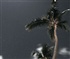 Great Bay Palms at Night Puzzle