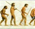 Man Evoluation