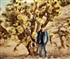 ME AND THE JOSHUA TREE Puzzle