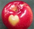 RED APPLE Puzzle