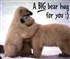 Bear Hug Puzzle