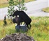 What happens in Fairbanks on stays in Fairbanks Puzzle