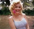 Marilyn Monroe Puzzle