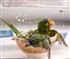 bird bath Puzzle