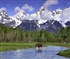 The Grand Tetons Puzzle