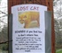 Lost Cat and STUPID man Puzzle