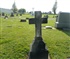 Memorial Day Old Graves at discount prices Bizare