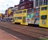 trams Puzzle