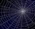 Spider Web Puzzle