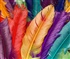 Coloured feathers Puzzle