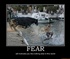 Fear of Bull