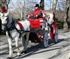 Horse Carriage Ride Puzzle