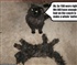 Nudder Cat Puzzle