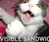 Sandwich Cat Puzzle