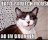 Drunk Cat Puzzle