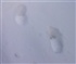 Footprints in the Snow Puzzle