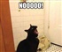 Fat Cat Puzzle