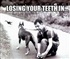 Lose Teeth in