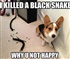 Black Snake Puzzle