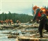 Timber rafting