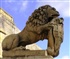 Lion sculpture