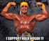 I support Hulk Hogan