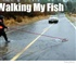 walking my fish
