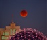 Blood Moon in B C