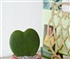 Heart shaped Cactus Puzzle