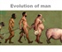 Evolution of man Puzzle