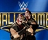 WWE DEMOLITION HOF