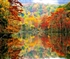 AND THEN CAME AUTUMN Puzzle