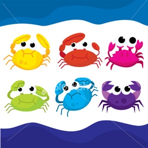 What is a group of crabs called?
