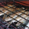 Grilled sardines Recipe