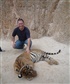 with one of the tigers saved by the monks in Thailand Just to be sure Im the one sitting up