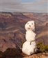 My new freind at Grand Canyon Doesnt like the sun much thou