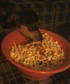 me and my dog eating pop corn watching movie