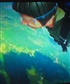 Skydiving 5 27 2012