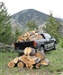 Cutting firewood south of Red Lodge