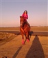 Cowgirlup72450 Looking for a good man