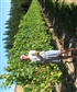 a good day at work getting ready to harvest award winning wines from here