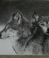 Wolves in graphite
