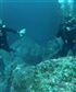 On a dive Im on the left