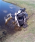 this is why you should not drink and drive golf carts too close to the lakes LMAO