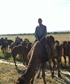 this was my first time when i rode a camel I got enjoy